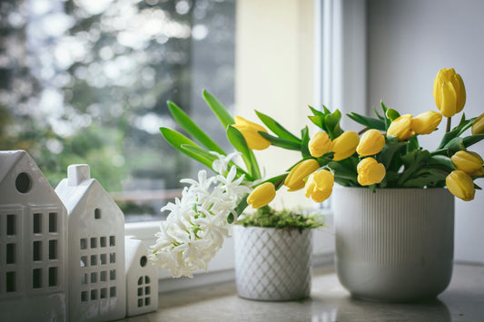 Simple Spring Rituals to Reset Your Mind, Body & Space